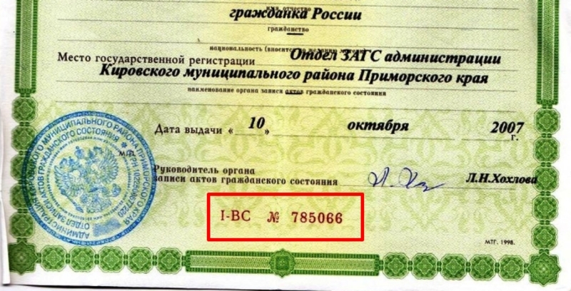 Номер сертификата россии. Номер свидетельства о рождении.
